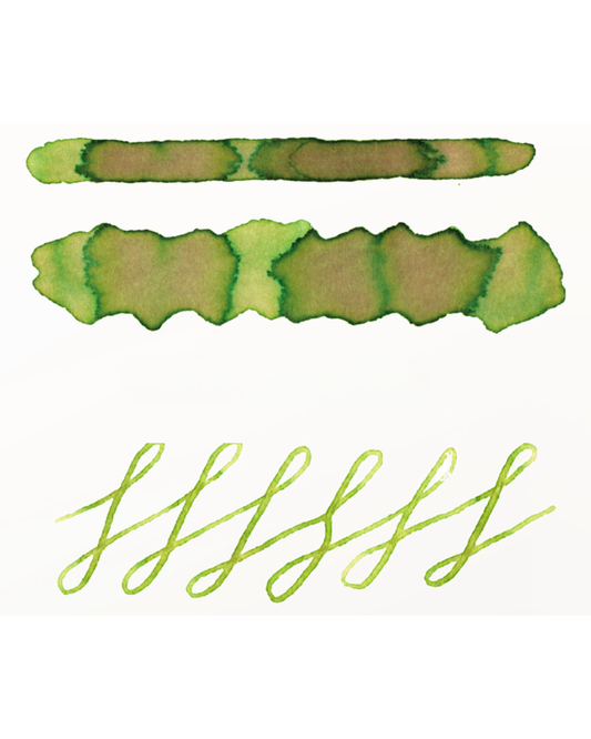 Dominant Industry Standard 124 Olive Grove — Warm Olive Green, Expressive Shading Fountain Pen Ink (25ml)