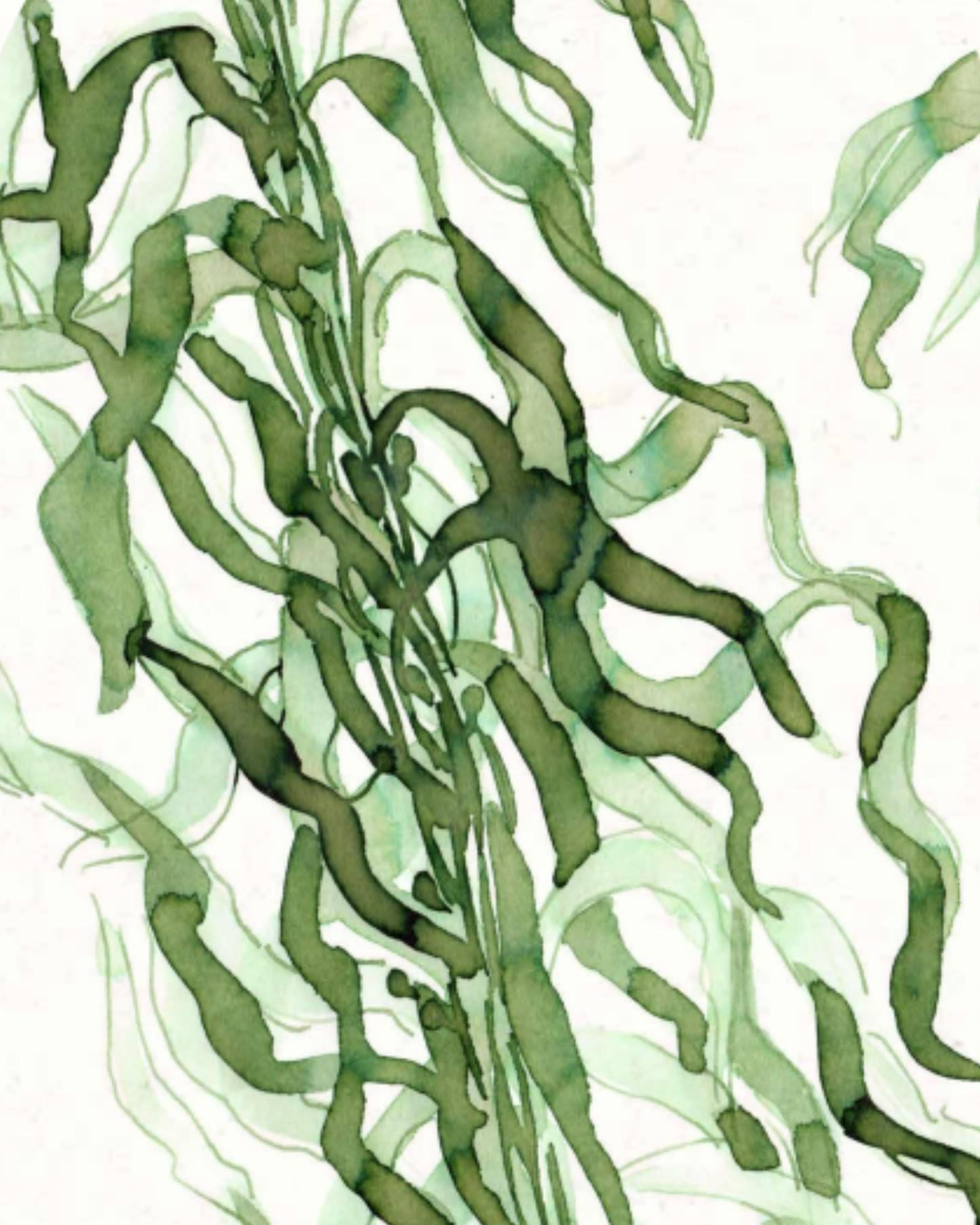 Dominant Industry Standard A11 Seaweed – 25ml Fountain Pen Ink